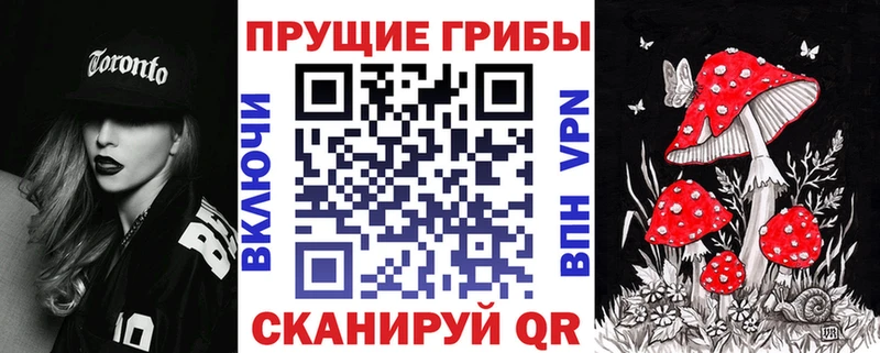 Галлюциногенные грибы Psilocybe  Бугульма 